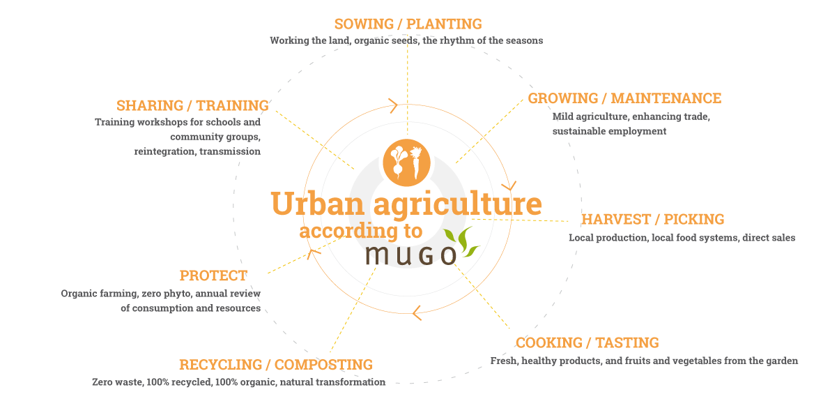 mugo_infographie_agriculture2_EN mugo_infographie_agriculture2_EN