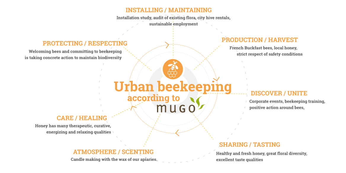 mugo_infographie_apiculture2_EN mugo_infographie_apiculture2_EN