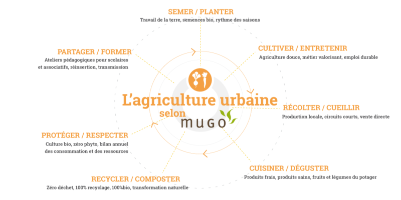 mugo_infographie_agriculture2 mugo_infographie_agriculture2