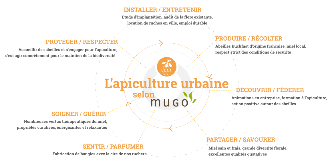 mugo_infographie_apiculture2