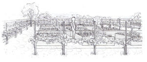 c_perspective-lourmel-_-mugo