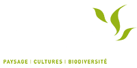Logo Mugo