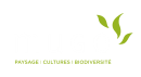 Mugo