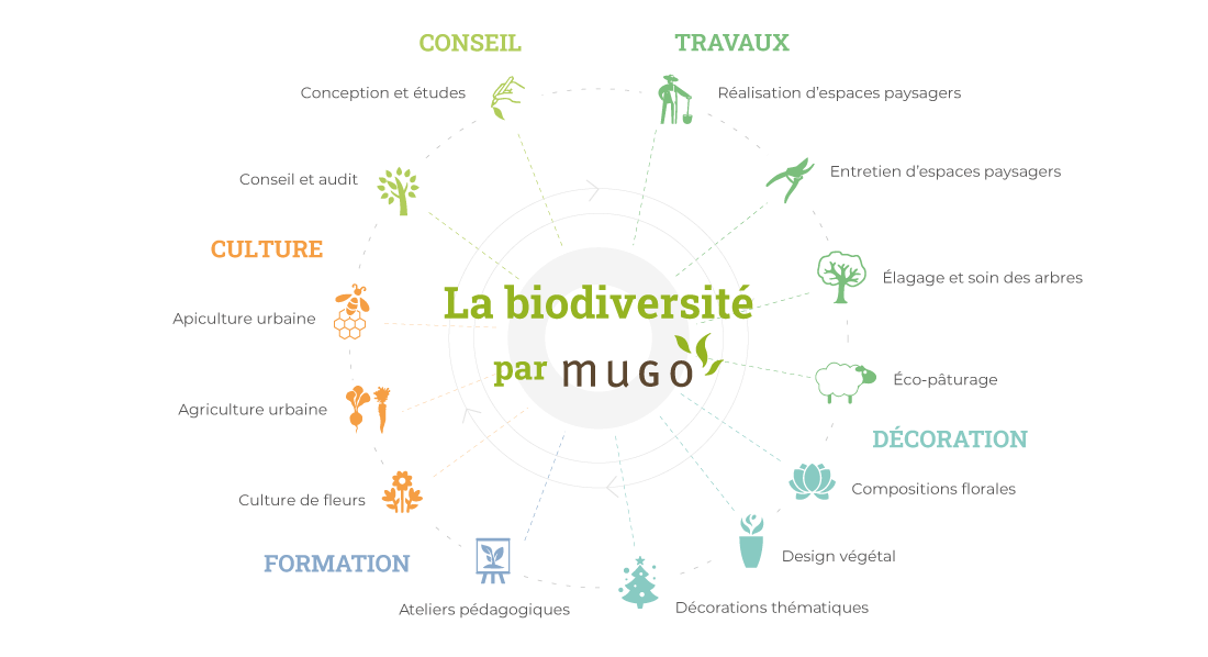 Gamme de compétences chez Mugo