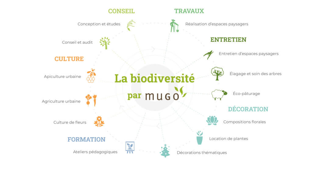 Nos métiers chez Mugo, entretien des espaces verts, élagage, travaux paysagers