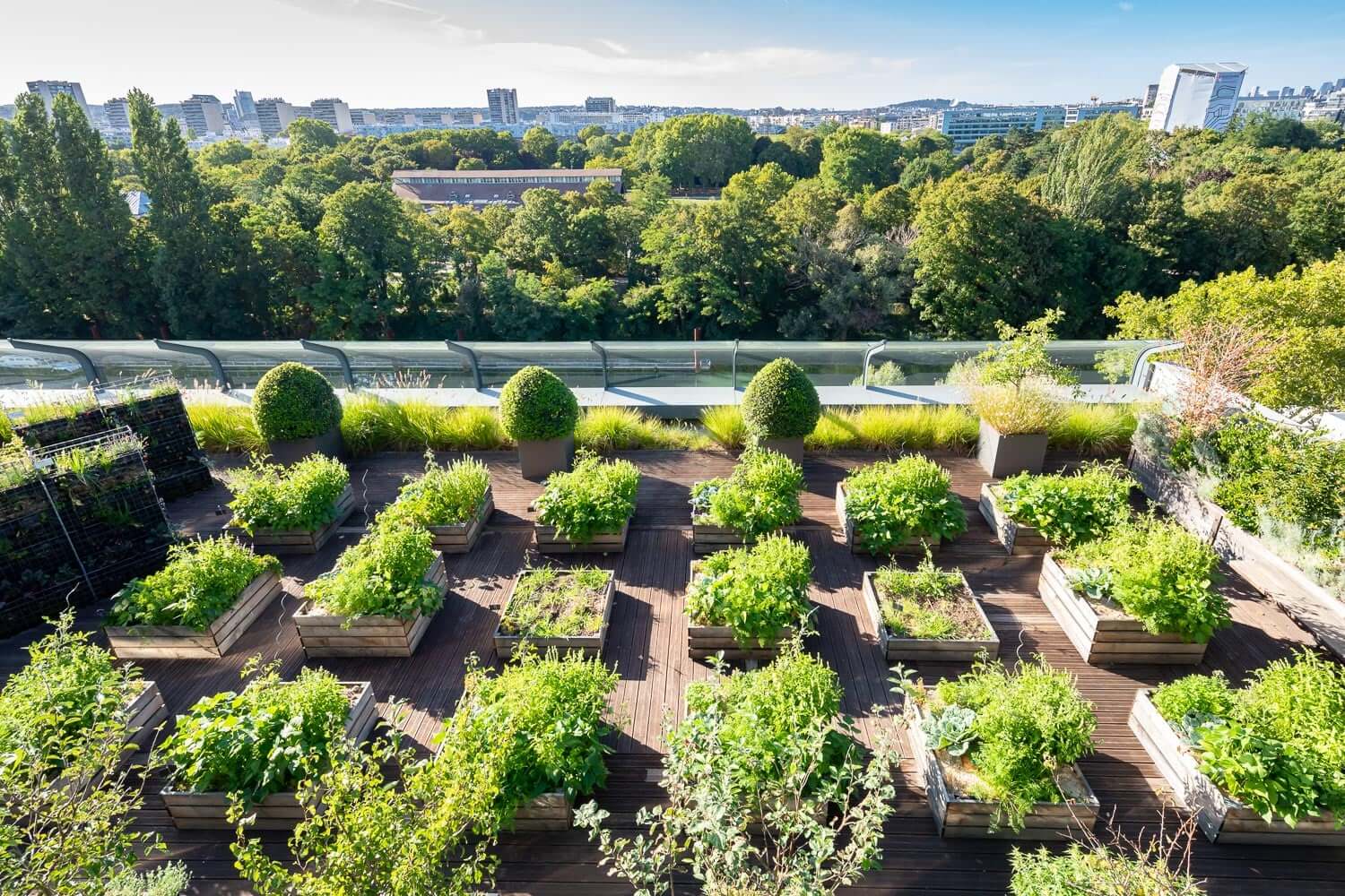 Jardin urbain BNP